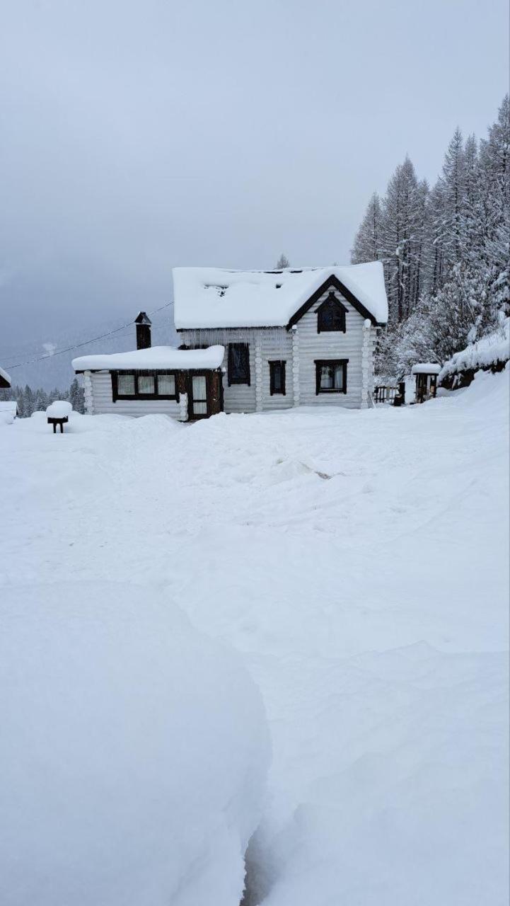 Mountain White House Гостинний Двір Hotel Mykulychyn Exterior photo